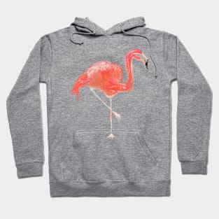 Flamingo Hoodie